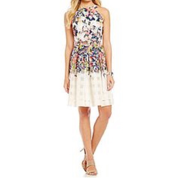 katherine kelly dresses dillards